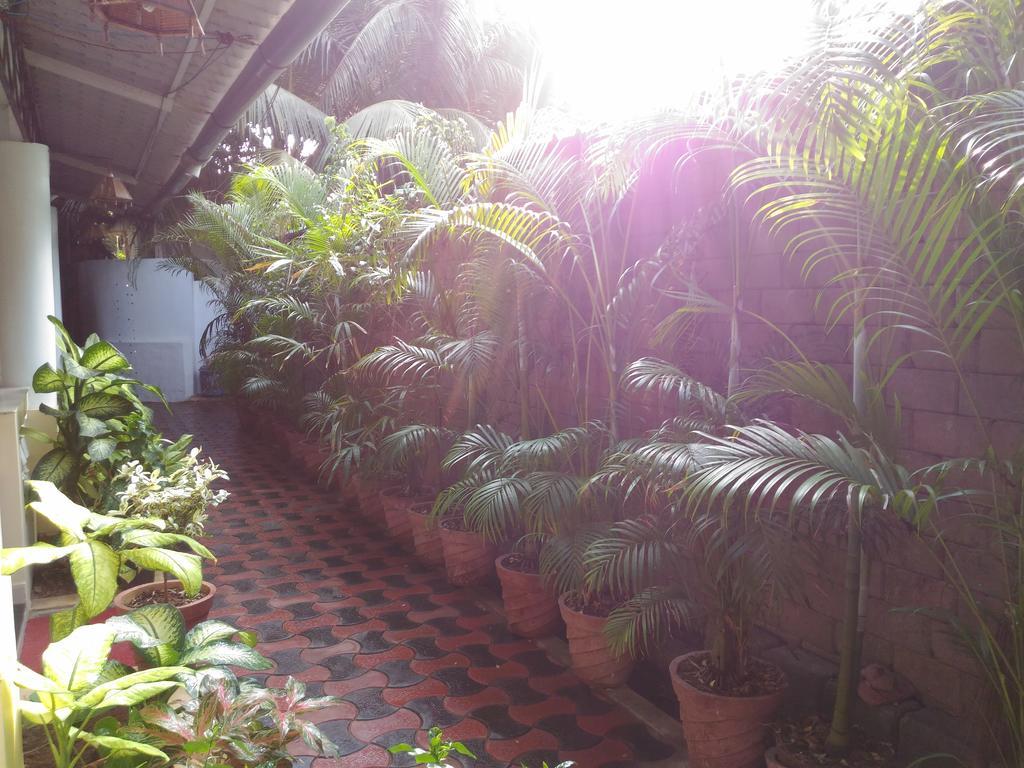 Alba Rooms Palolem Rosebuds Exterior foto